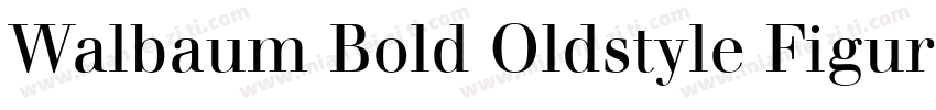 Walbaum Bold Oldstyle Figures字体转换